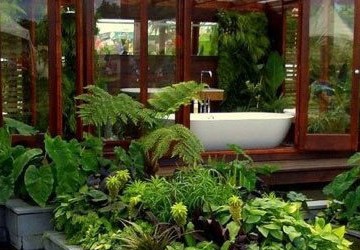 屋顶绿化知识讲座