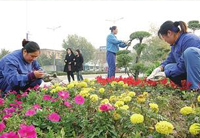 绿地养护规范与养护年历讲解
