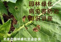病虫害防治知识讲座